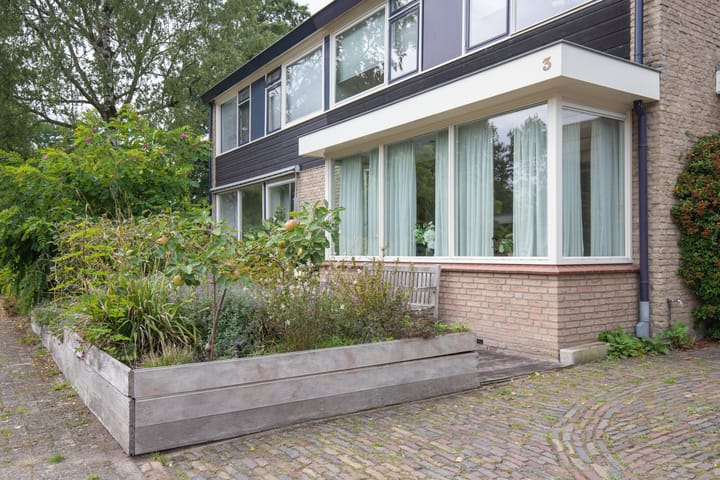 Foto 42 van Aardbolhof 3