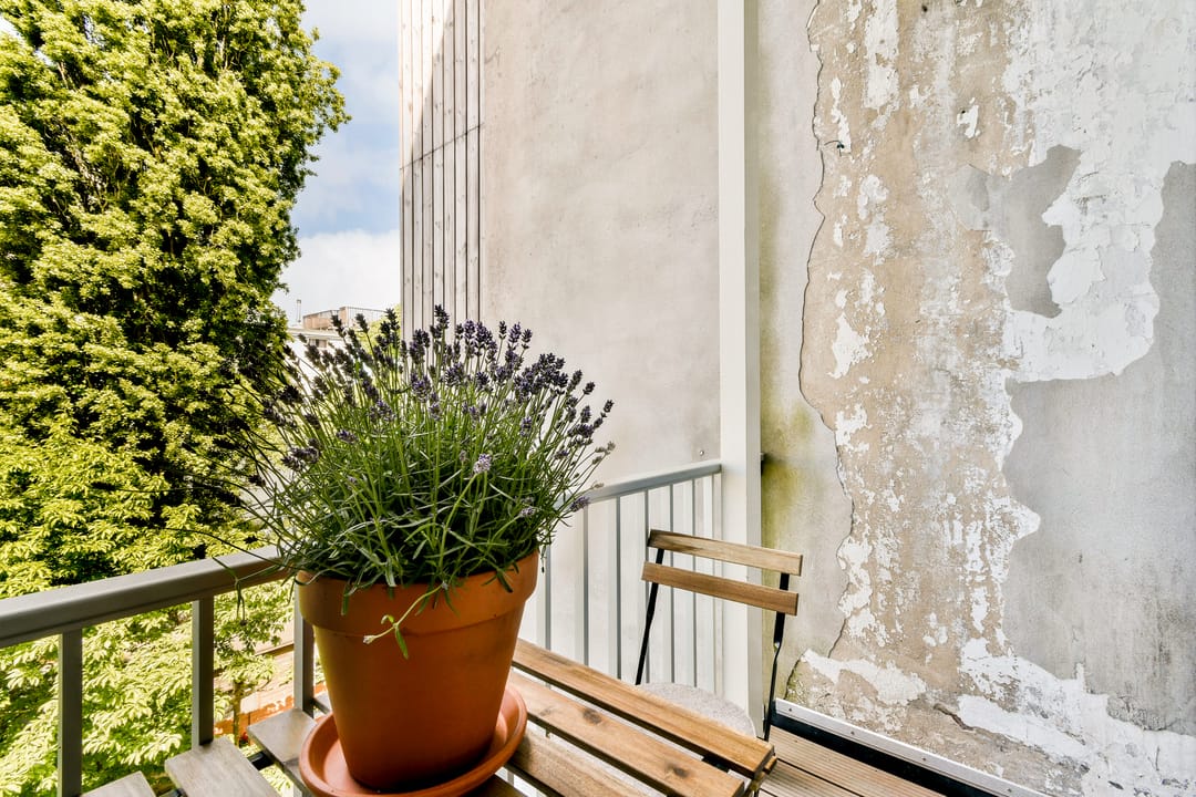 Foto 16 van Overtoom 246-2