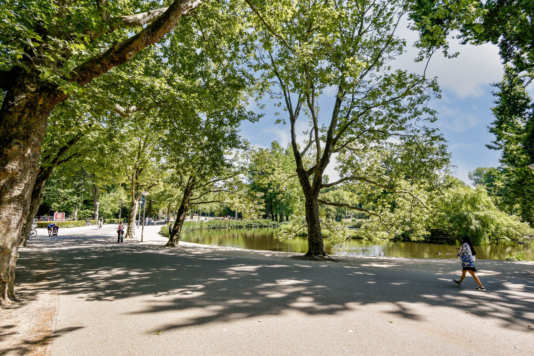 Foto 24 van Overtoom 246-2