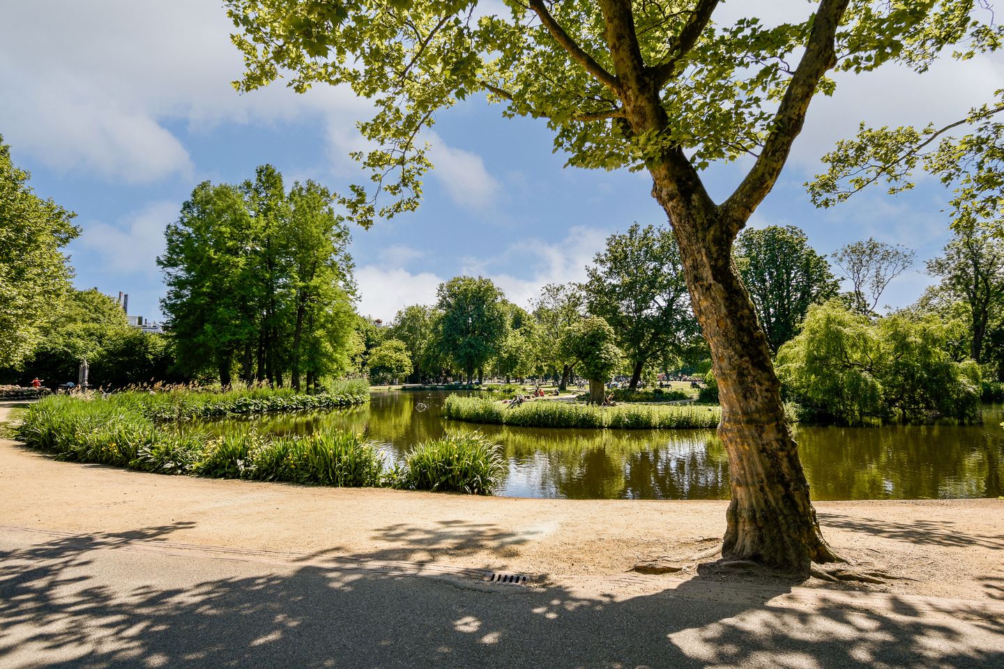 Foto 25 van Overtoom 246-2