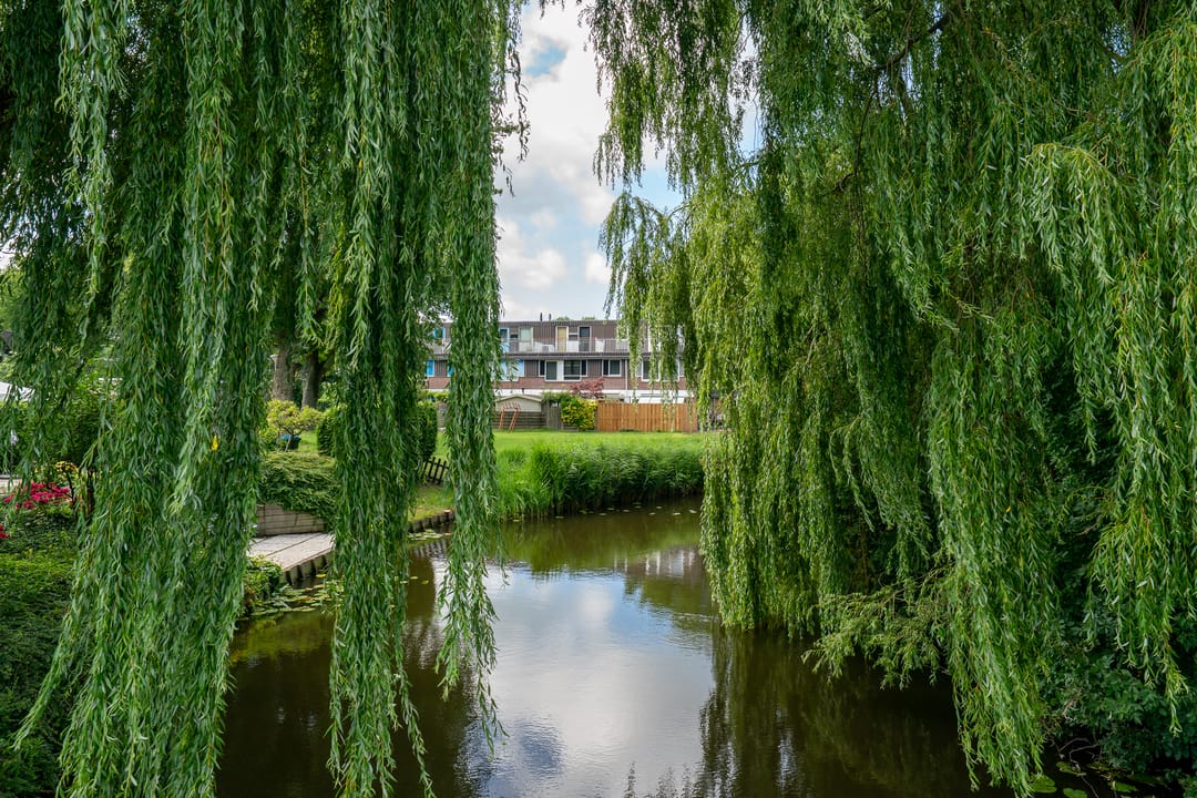 Foto 56 van Slochterwaard 249