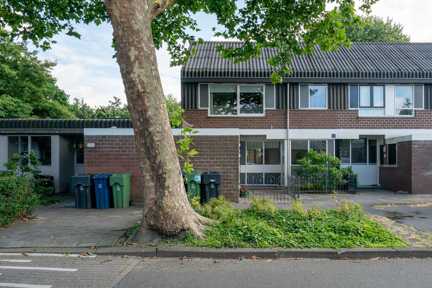 Foto 59 van Slochterwaard 249