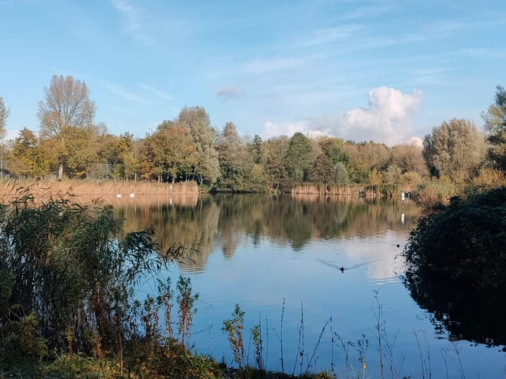 Foto 36 van Ru Paréstraat 28