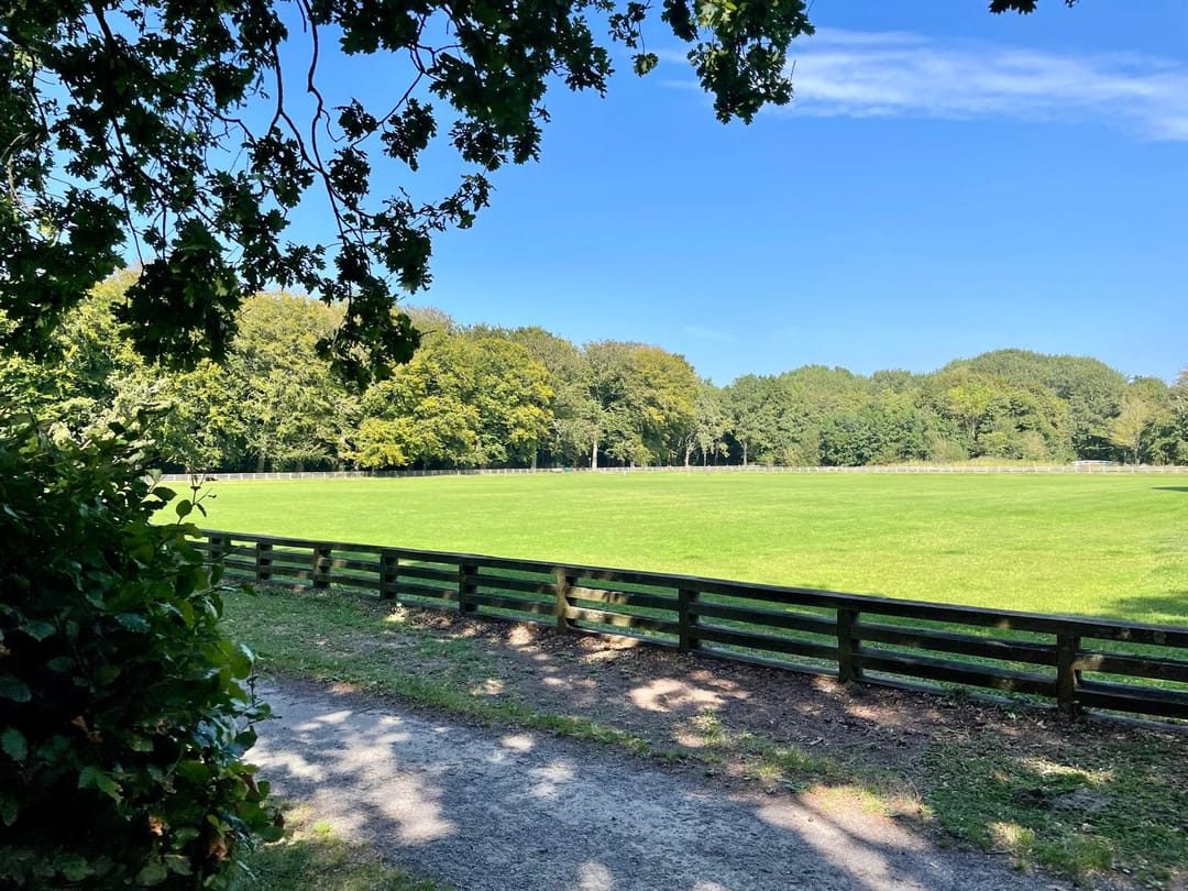 Foto 38 van Ru Paréstraat 28