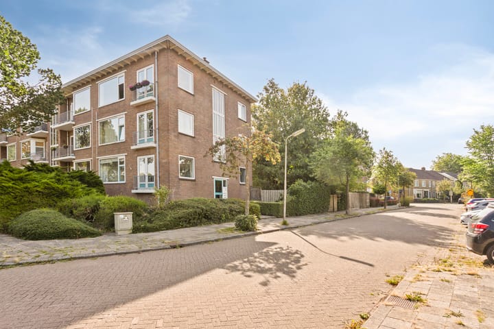 Foto 21 van Lijsterbesstraat 18