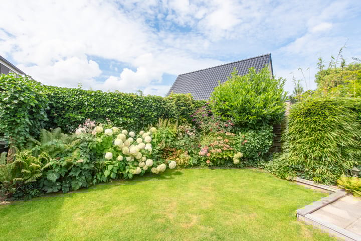 Foto 36 van Dreeflaan 33