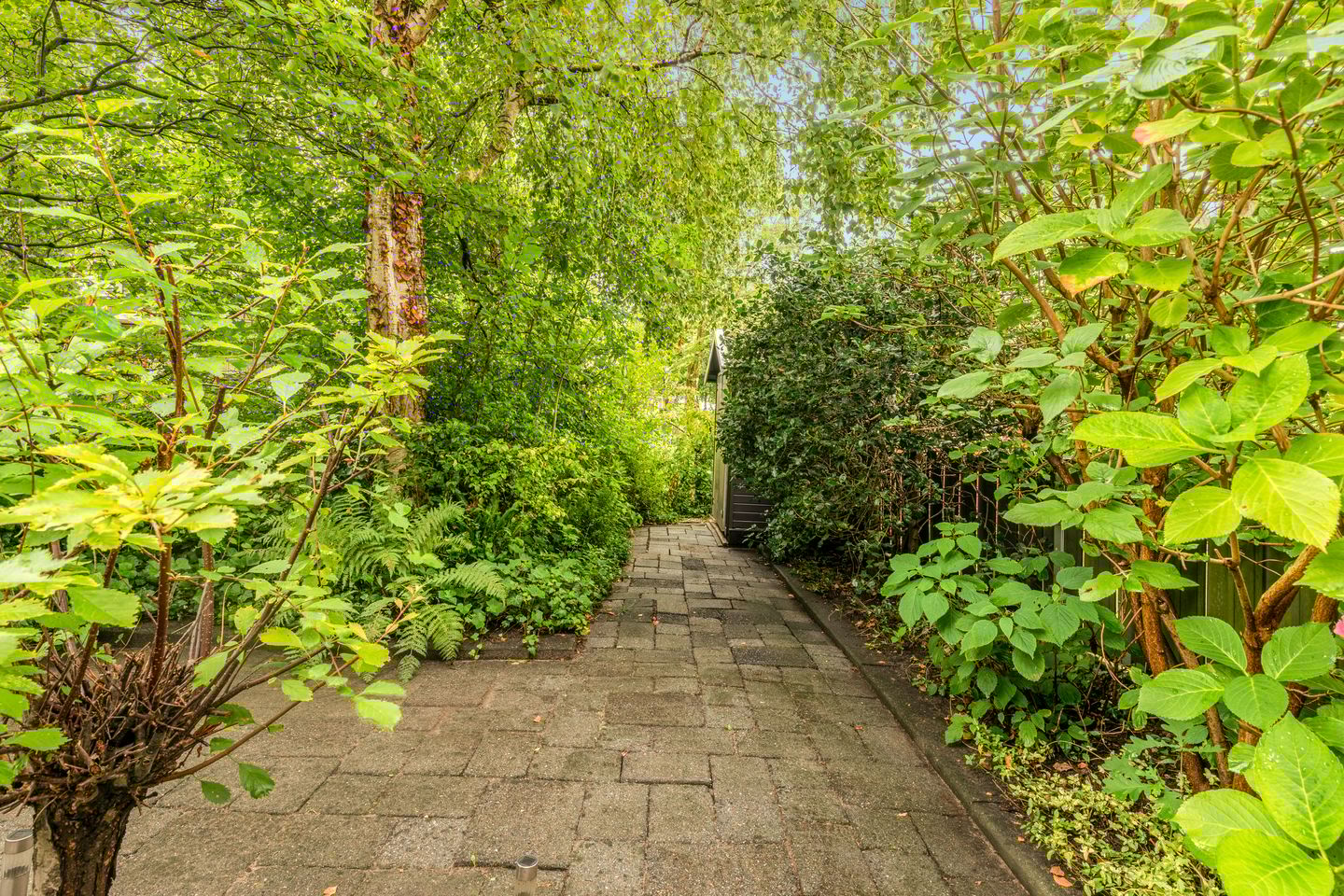 Foto 19 van Stokkenmolen 17