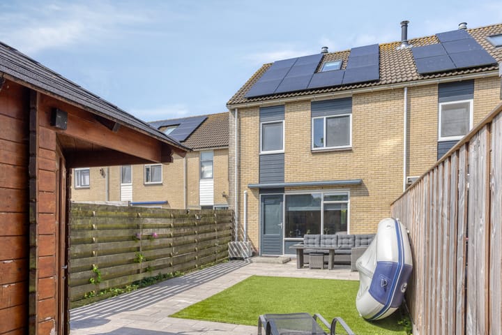 Foto 1 van Spinnekop 9