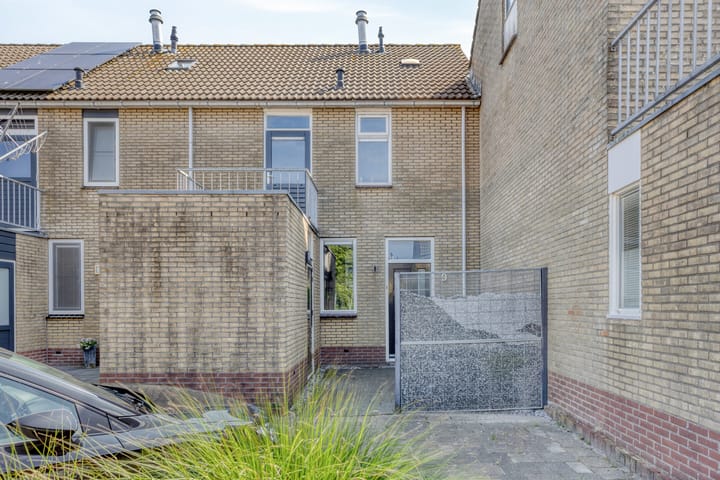 Foto 2 van Spinnekop 9