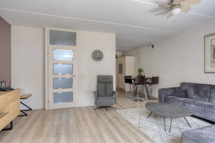 Foto 3 van Spinnekop 9