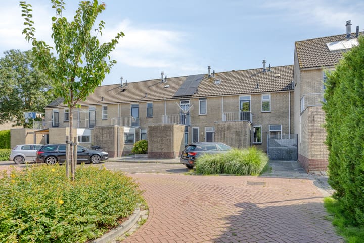 Foto 5 van Spinnekop 9