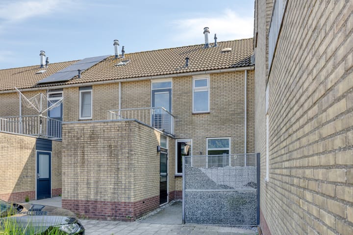 Foto 6 van Spinnekop 9