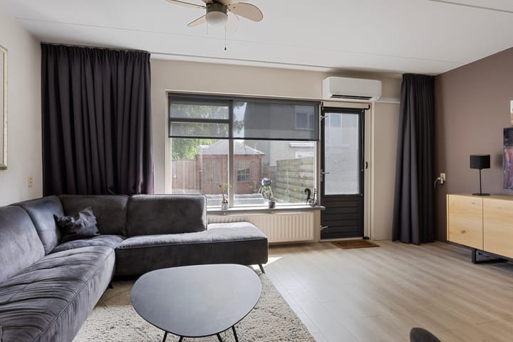 Foto 10 van Spinnekop 9