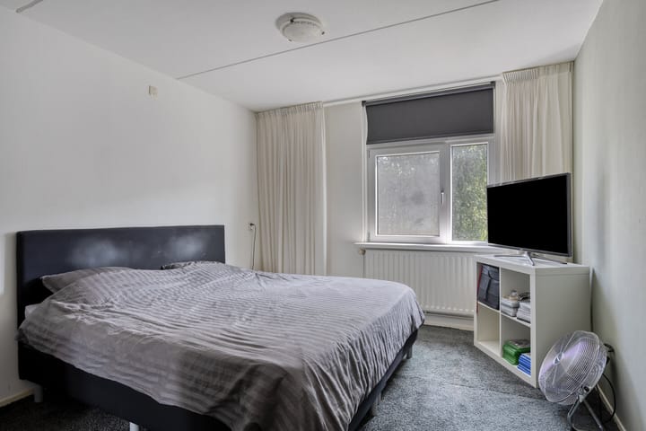 Foto 17 van Spinnekop 9