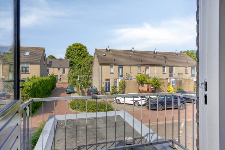 Foto 23 van Spinnekop 9