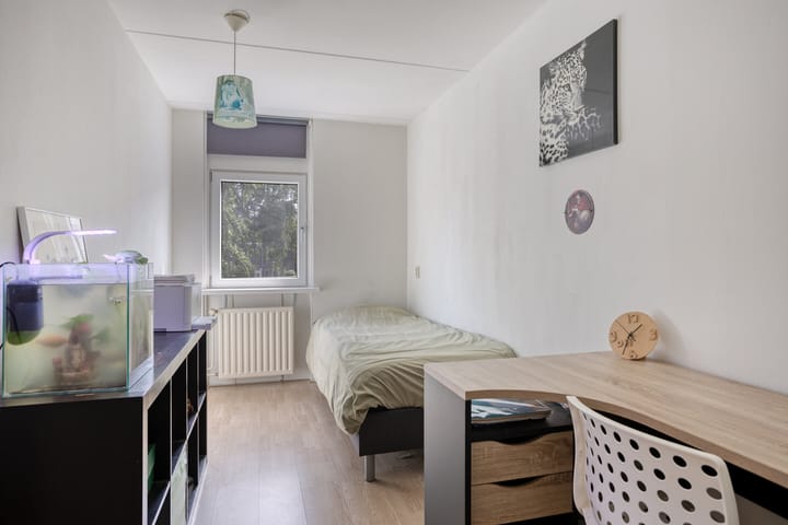 Foto 24 van Spinnekop 9