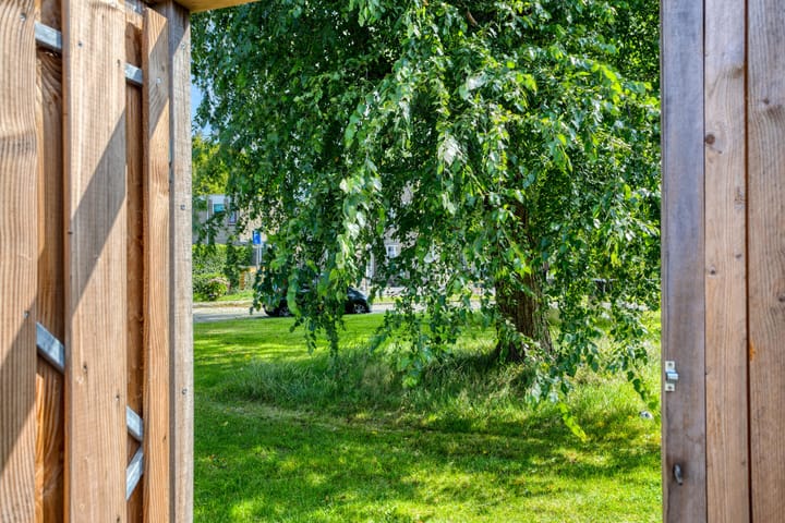 Foto 29 van Spinnekop 9