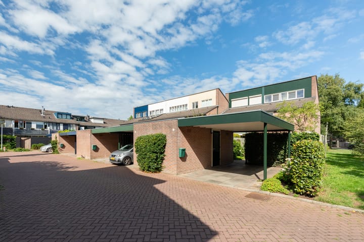 Foto 6 van Neerijnen 1