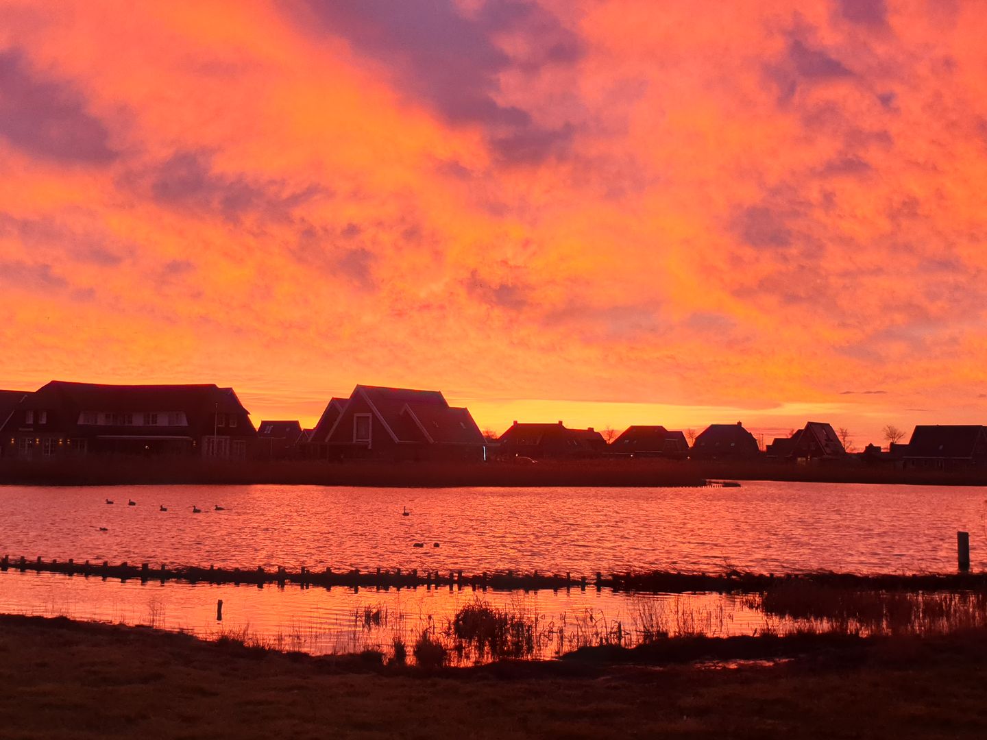 Foto 64 van Schepperij 2