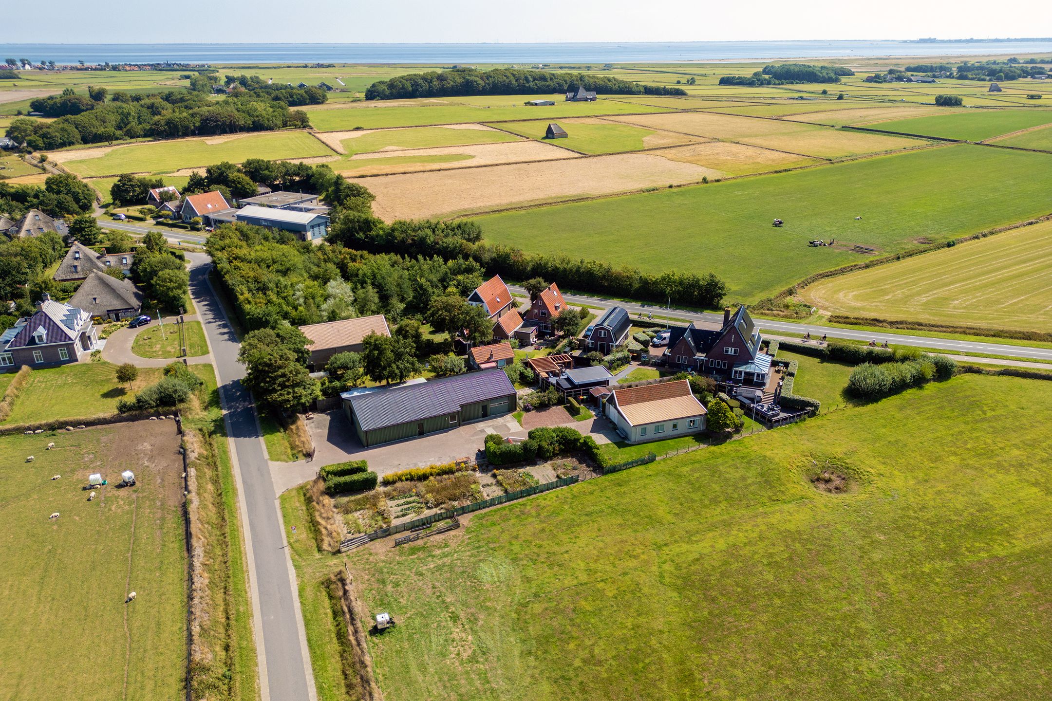 Foto 3 van Hallerweg 44