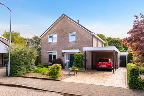 undefined main image