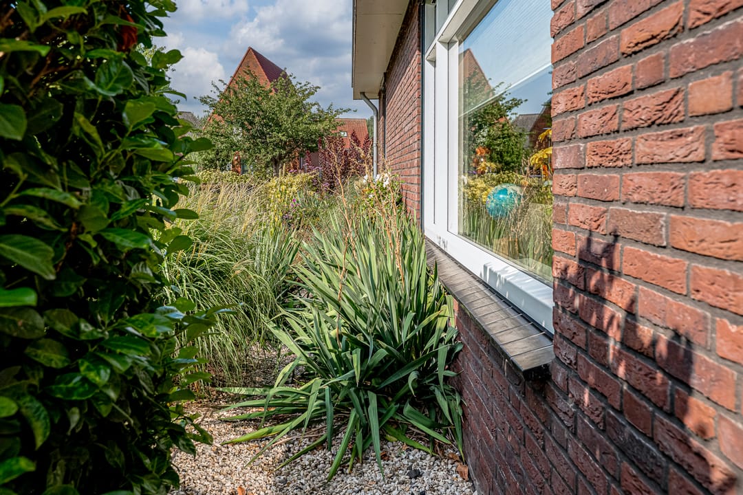 Foto 23 van Rietdekker 69