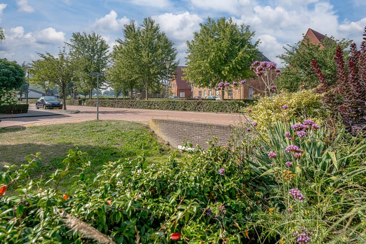 Foto 32 van Rietdekker 69