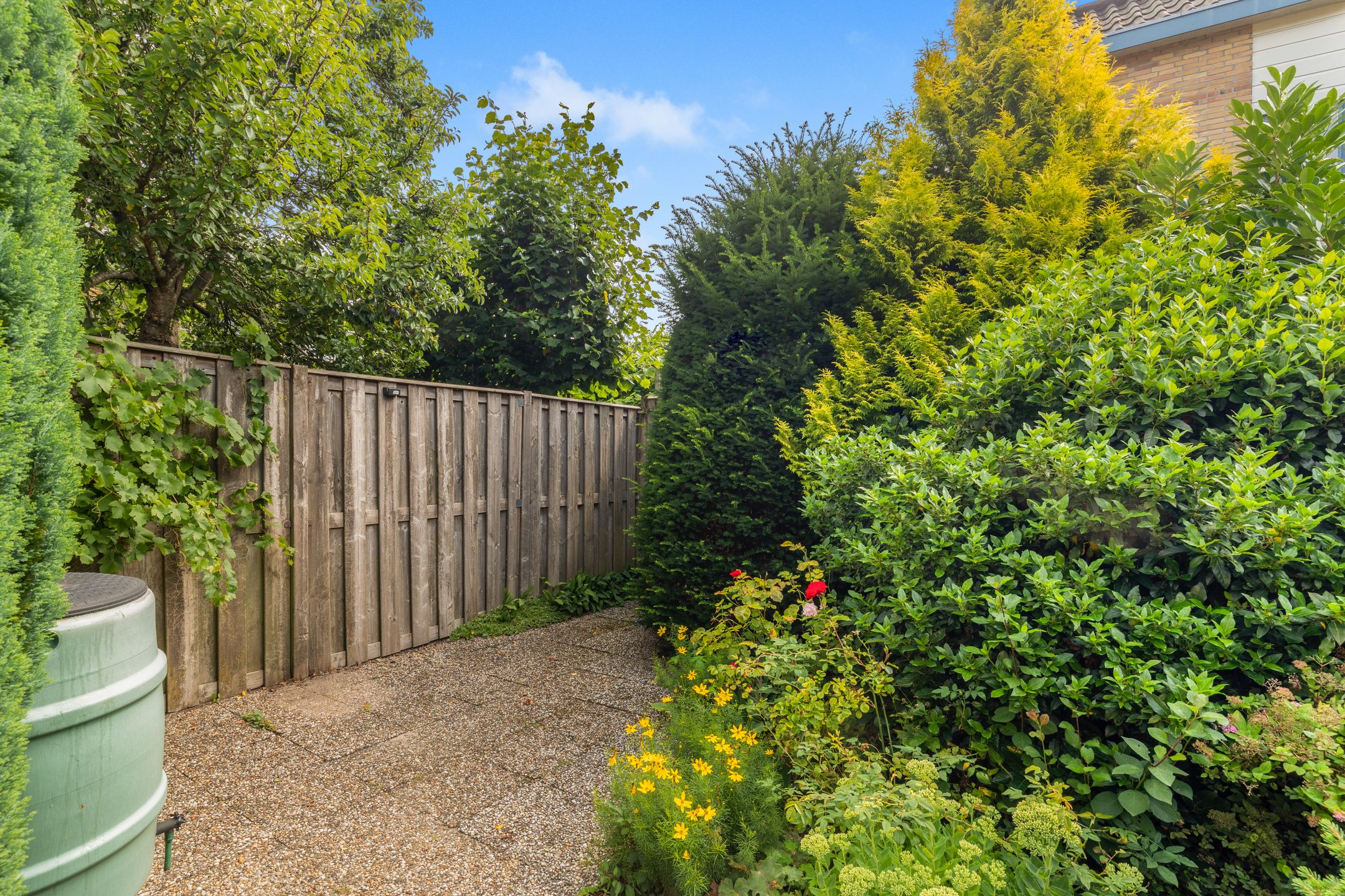 Foto 24 van Breedelaan 137