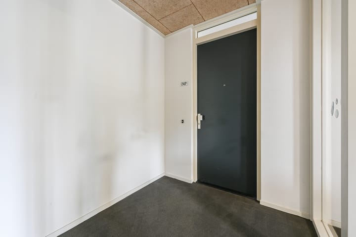 Foto 29 van Rijndijk 240-B