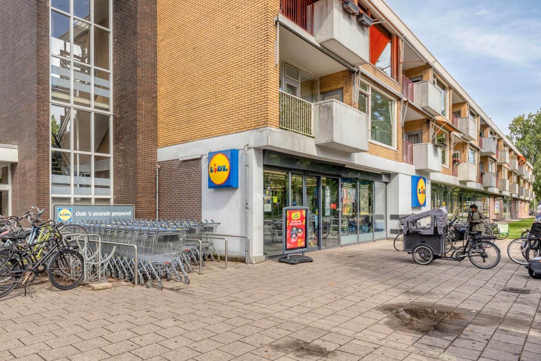 Foto 37 van Kamerlingh Onneslaan 54