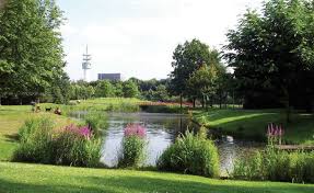 Foto 36 van Volkerakstraat 7-H