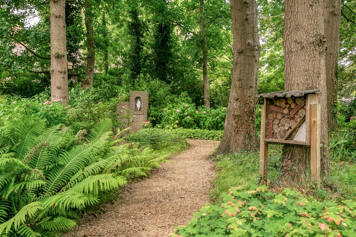 Foto 45 van Mariaplein 37