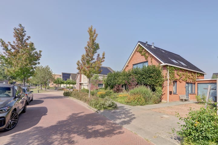 Foto 2 van Weegbree 3