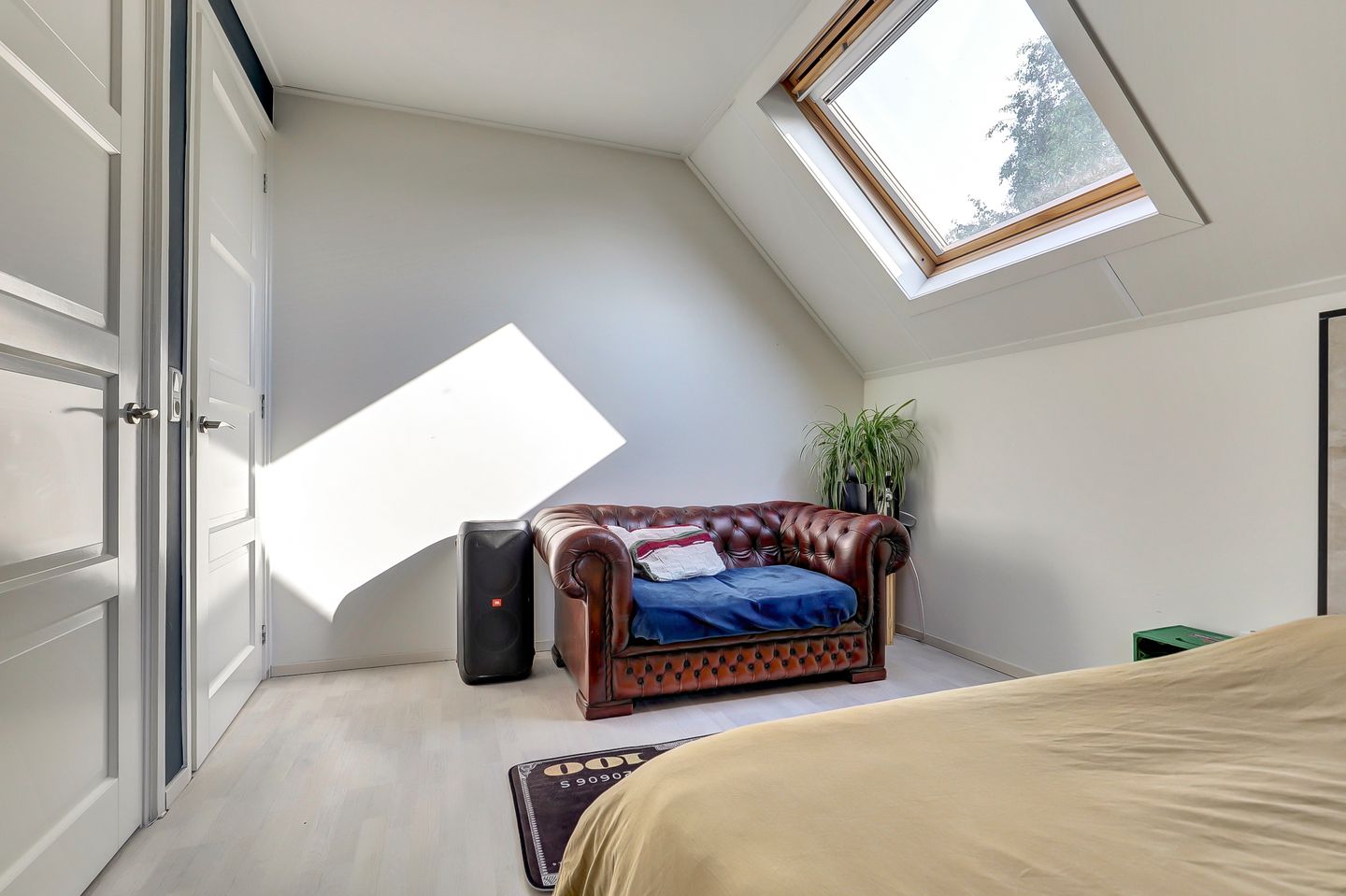 Photo 19 of Weegbree 3