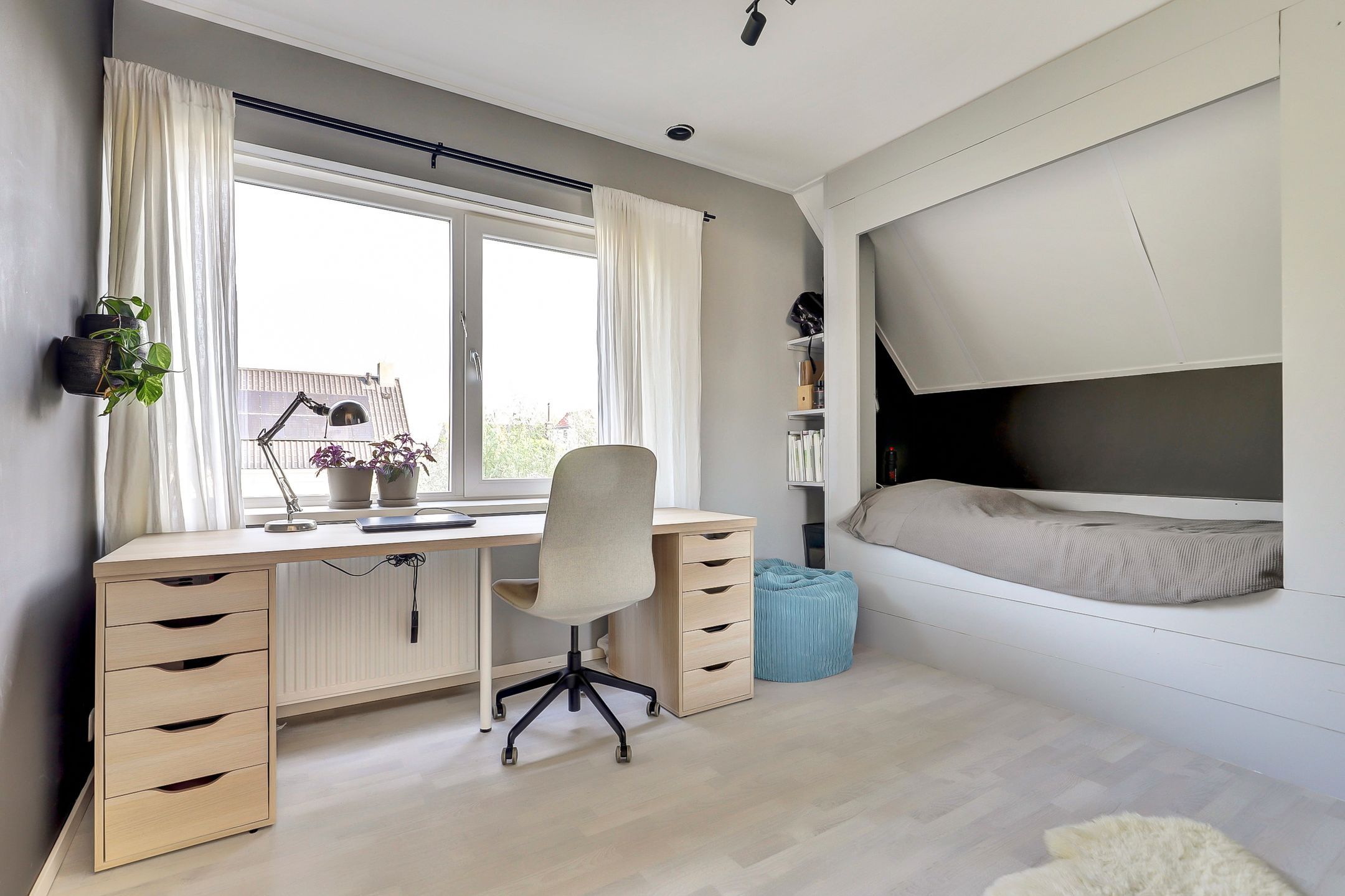 Photo 24 of Weegbree 3