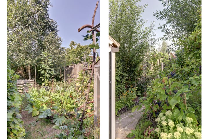 Foto 36 van Weegbree 3