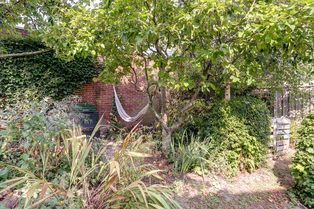 Photo 38 of Weegbree 3