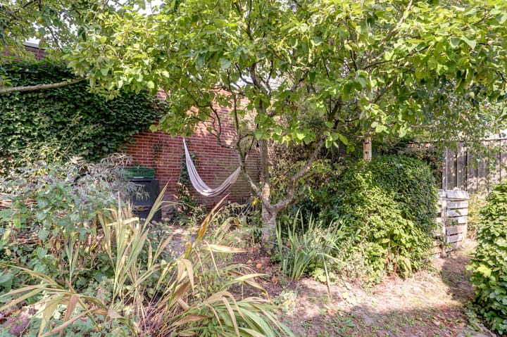 Foto 38 van Weegbree 3