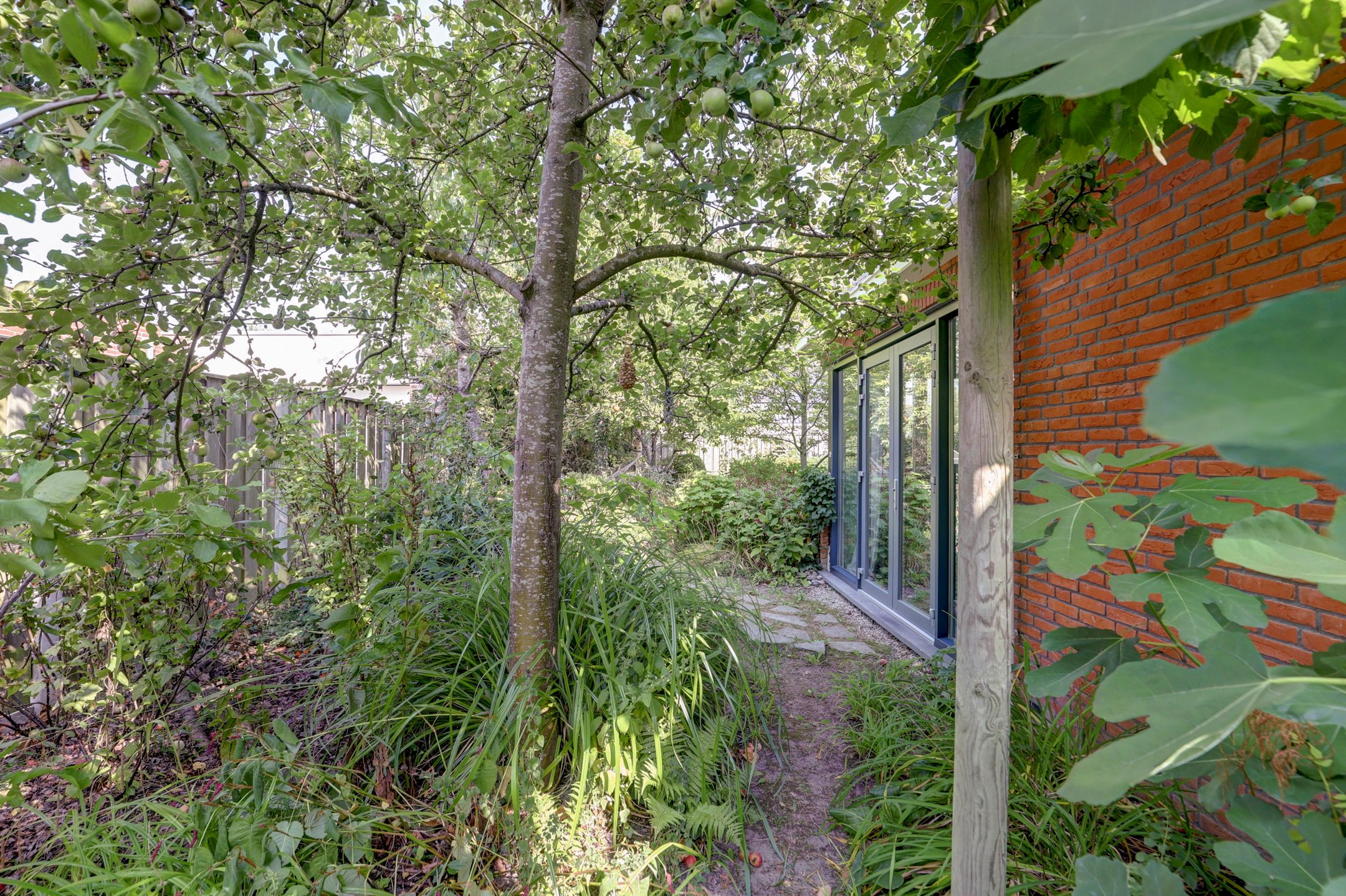 Photo 39 of Weegbree 3