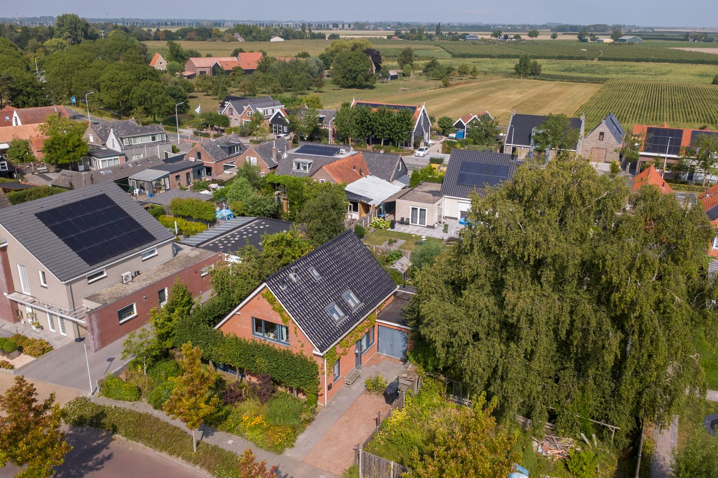 Photo 44 of Weegbree 3