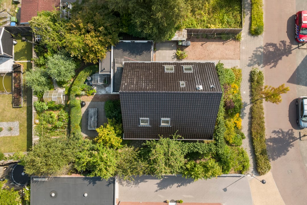 Photo 46 of Weegbree 3