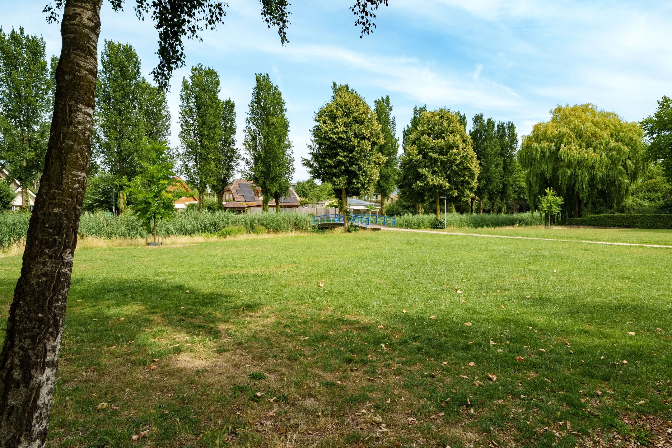 Photo 30 of Van Doesburglaan 176