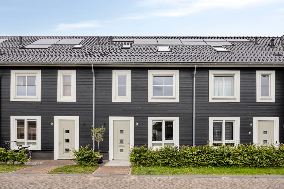 Photo 1 of Aardbei 8