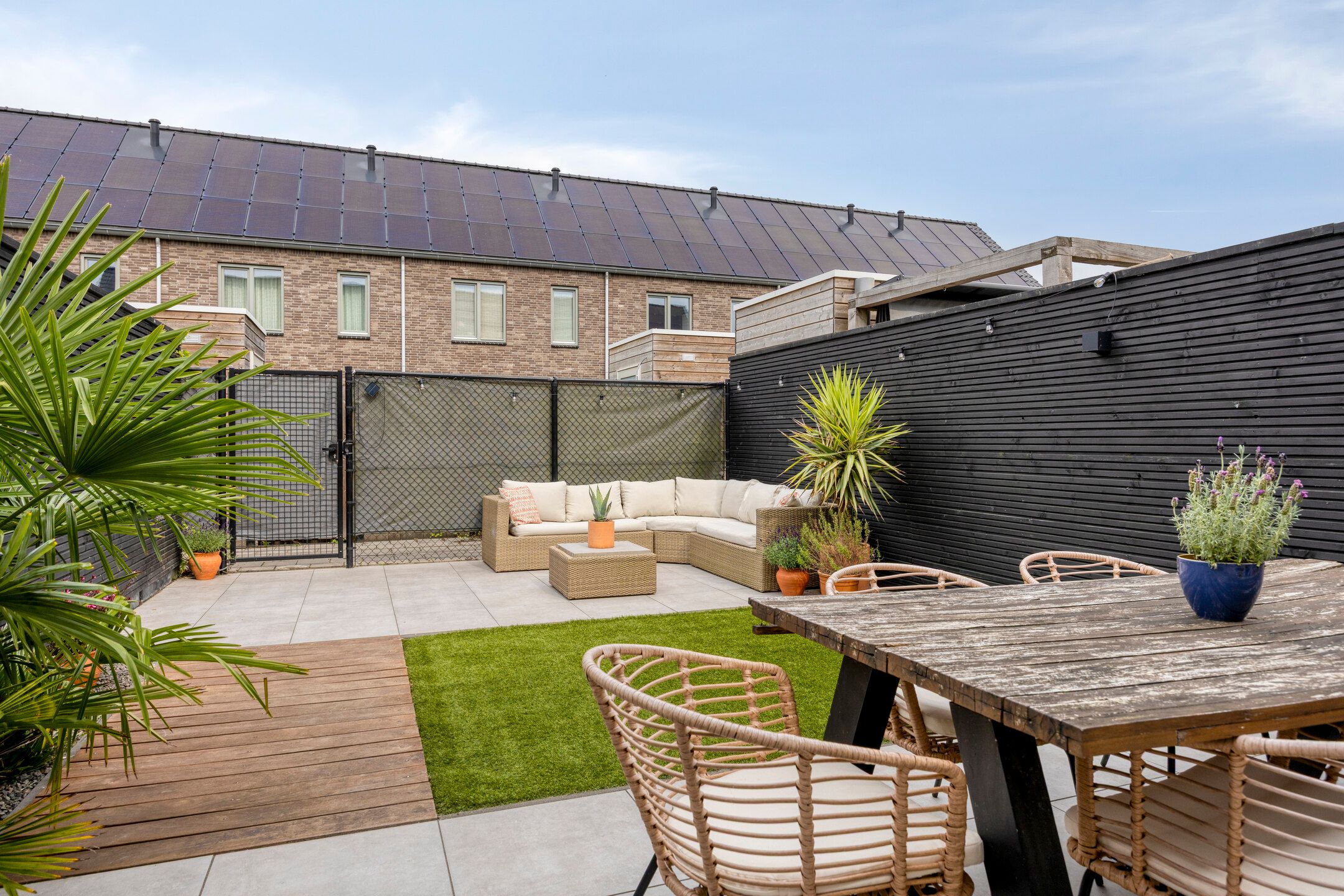 Photo 33 of Aardbei 8