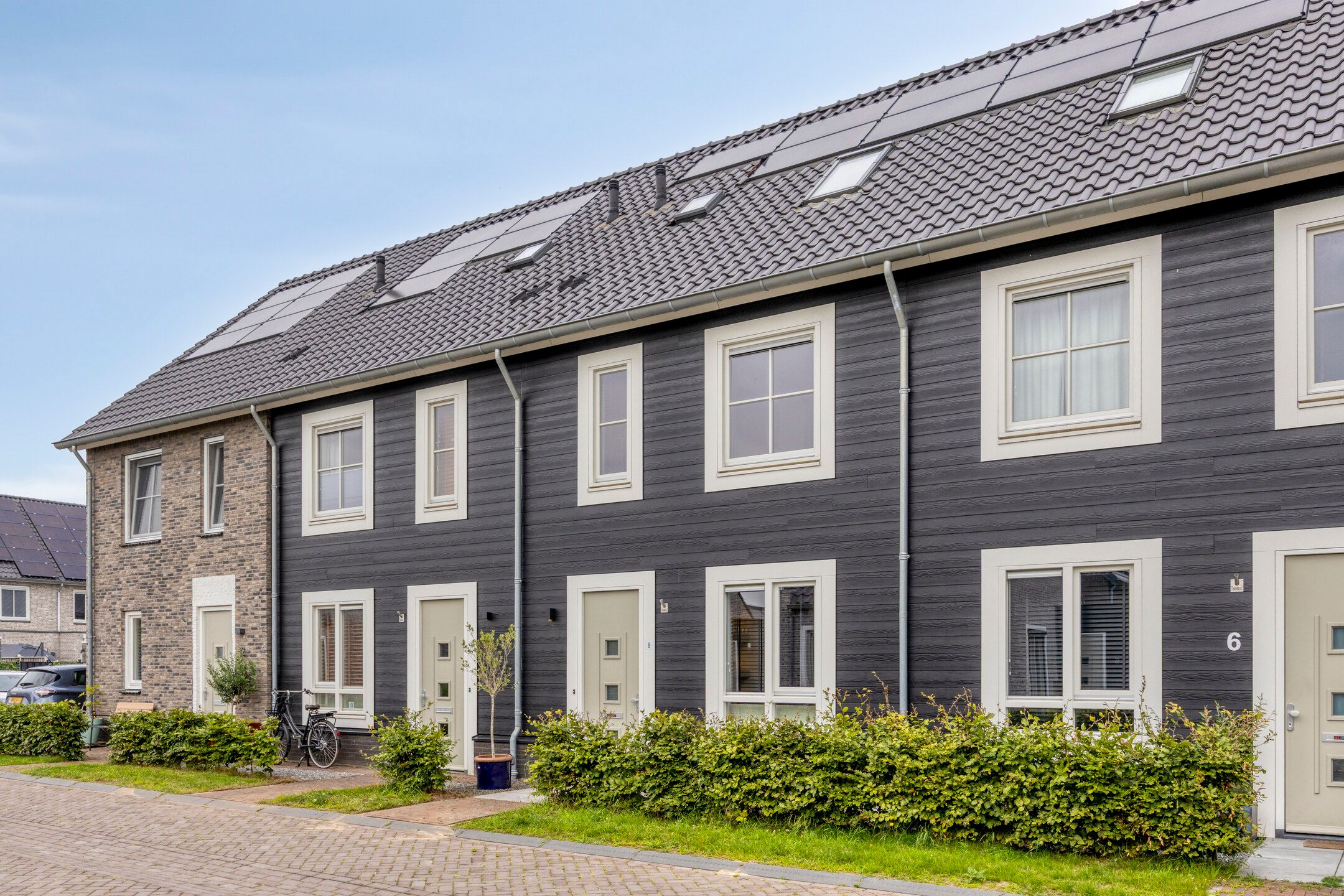 Photo 39 of Aardbei 8