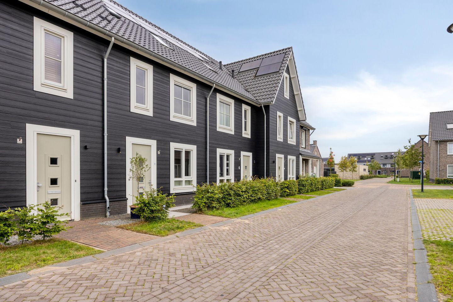 Photo 40 of Aardbei 8