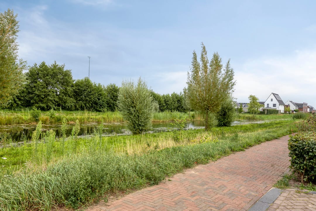 Photo 41 of Aardbei 8