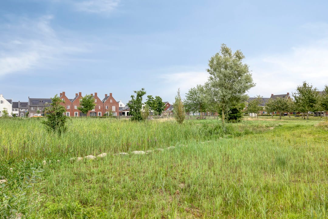 Photo 43 of Aardbei 8