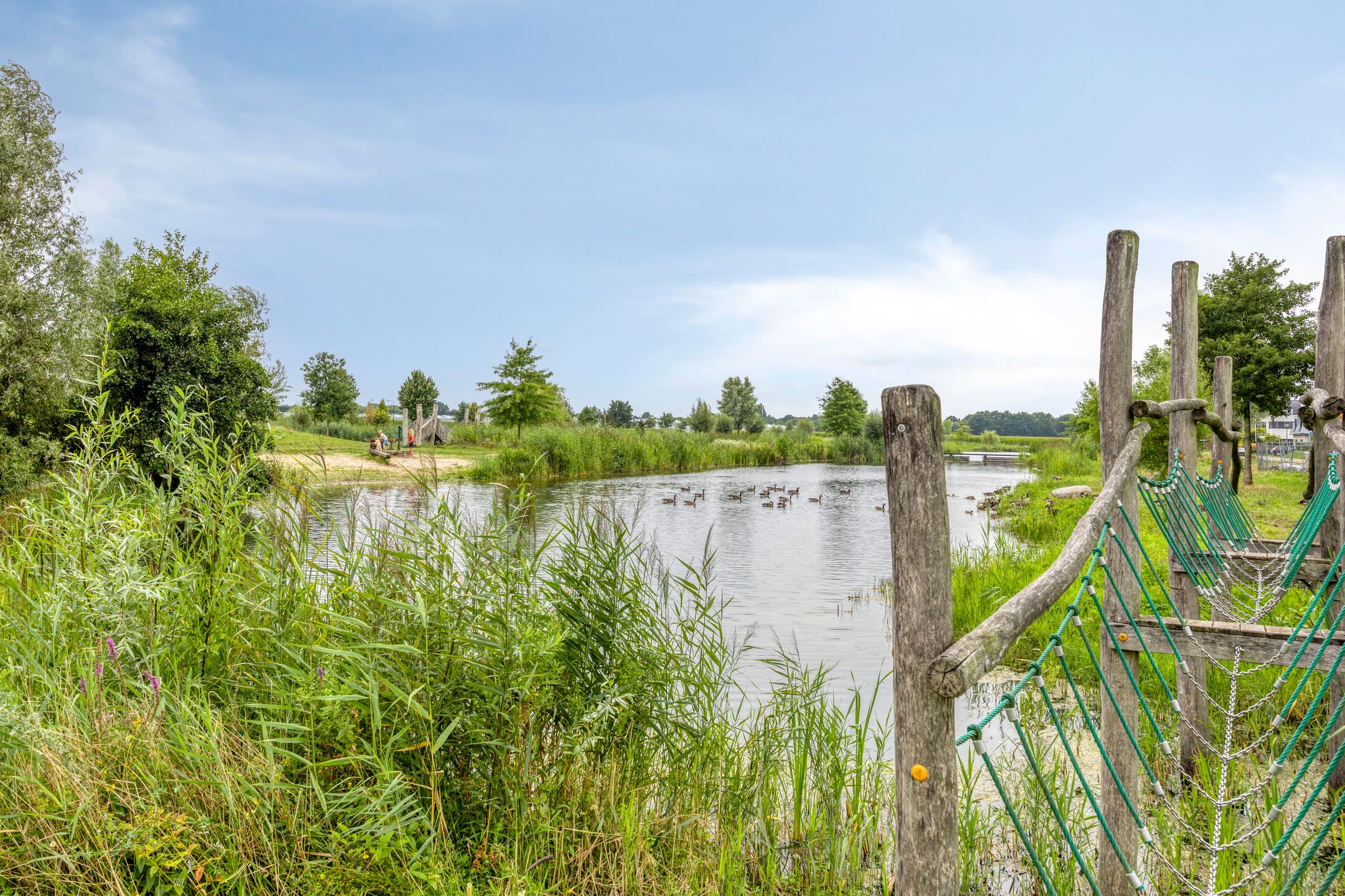 Photo 42 of Aardbei 8