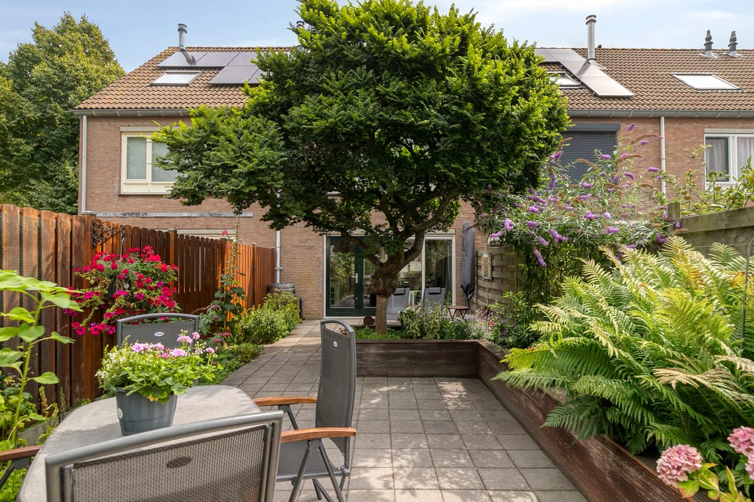 Foto 31 van Vliet 55